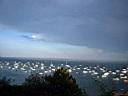 capferret 0018.jpg