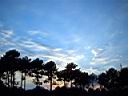 capferret 0022.jpg