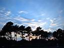 capferret 0023.JPG